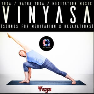Vinyasa - Hatha Yoga