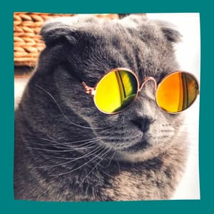 Entertaining Music for Happy Cat - Trumpet and Alto Sax - Cat Total Relax