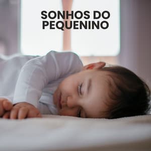 Sonhos do Pequenino - Canções de Ninar Bebê Clube