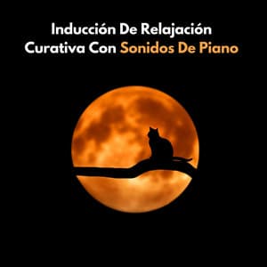 Inducción De Relajación Curativa Con Sonidos De Piano - Consorte de música de piano relajante