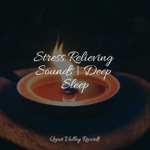 Stress Relieving Sounds | Deep Sleep - Relaxing Nature Ambience