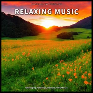 ! ! ! ! Relaxing Music for Sleeping, Relaxation, Wellness, Panic Attacks - Deep Meditation