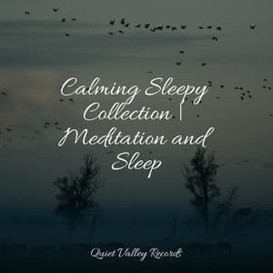 Calming Sleepy Collection | Meditation and Sleep - Rainfall