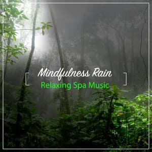 15 Mindfulness Rain and Nature Sounds - Relaxing Spa Music - Calming Rainforest Sounds
