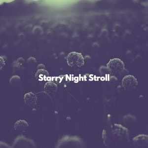 Starry Night Stroll - Lunch Time Jazz