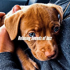 Relaxing Sounds of Jazz - Relaxing Music for Dogs