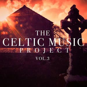 The Celtic Music Project, Vol. 3 - Irish Celtic Music