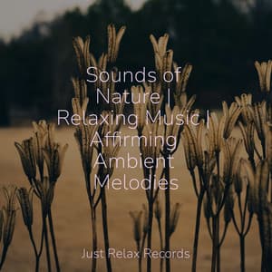 Sounds of Nature | Relaxing Music | Affirming Ambient Melodies - Bedtime Baby