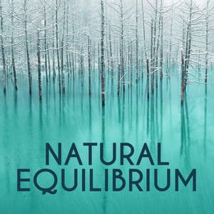 Natural Equilibrium - Nature Sounds Meditation