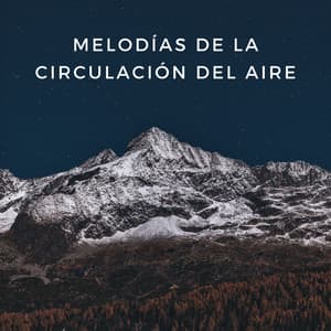 Melodías De La Circulación Del Aire - Registradores de campo al aire libre