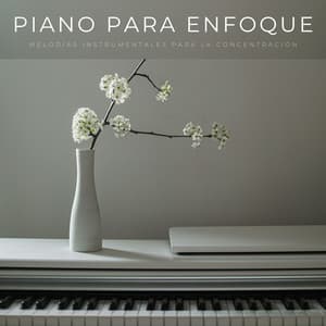 Piano Para Enfoque: Melodías Instrumentales Para La Concentración - Novela de piano