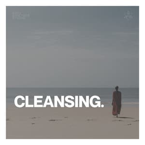 Cleansing - Anti Stress Music Zone