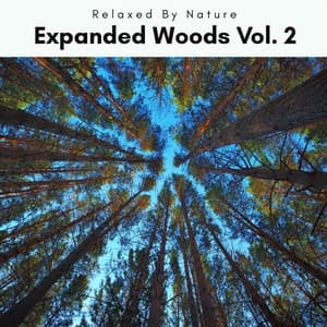 1 Expanded Wood Vol. 2 - Natural Woodland Sounds