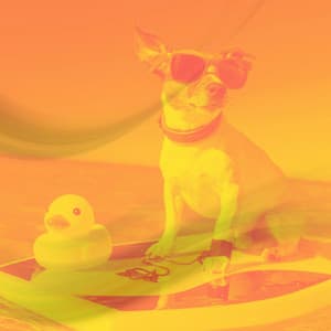 Tasteful Brazilian Jazz - Ambiance for Dogs at Home Alone - Music for Dogs Radio