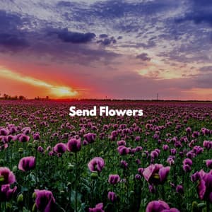 Send Flowers - Easy Listening Background Music