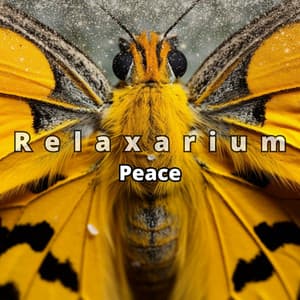 Peace: Relaxing Nature Sounds & Kalimba - Relaxarium