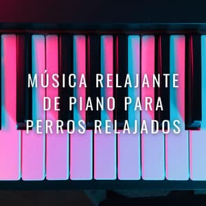 Sueños Tranquilos De Perros Junto Al Fuego: Música Relajante De Piano Para Perros Relajados - Pianos pacíficos