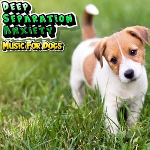 Doggy Relaxation & Stress Relief Music For Anxious Stressed Dogs - Deep Separation Anxiety Music For Dogs