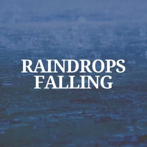 Raindrops Falling - Always Raining