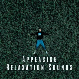 Appeasing Relaxation Sounds - Relaxing Flute Music Zone