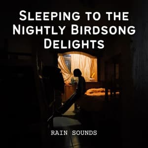 Rain Sounds: Sleeping to the Nightly Birdsong Delights - Rain is my Life
