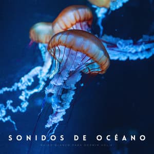 Sonidos De Océano, Ruido Blanco Para Dormir Vol.2 - Océano Durmiente