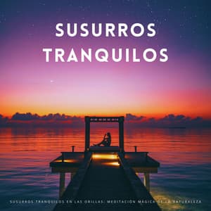 Susurros Tranquilos En Las Orillas: Meditación Mágica De La Naturaleza - Alinear Chakras