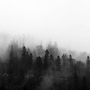 Relaxing Music for Deep Sleep - Sounds of Nature White Noise for Mindfulness Meditation and Relaxation