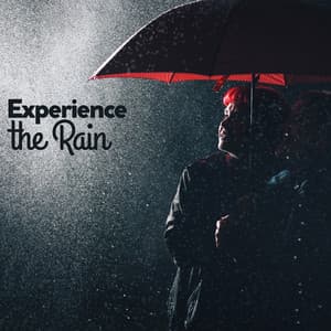 Experience the Rain - Ambient Rain