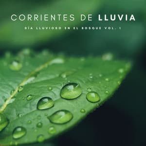 Corrientes De Lluvia: Día Lluvioso En El Bosque Vol. 1 - Reiki Consorte de Curación