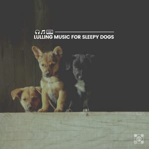 Lulling Music for Sleepy Dogs - Dog Relaxation