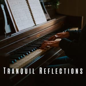 Tranquil Reflections: Meditative Piano Moments for Relaxation - Relaxing Piano Music Consort