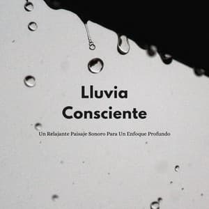 Lluvia Consciente: Un Relajante Paisaje Sonoro Para Un Enfoque Profundo - Sonidos Tranquilos de lluvia