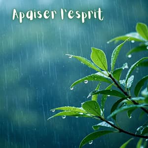 Calmez Votre Esprit Sous la Pluie : Thérapie Sonore Zen, Spa Méditatif pour Apaiser l'Esprit Agité - Oasis de Musique Zen Spa