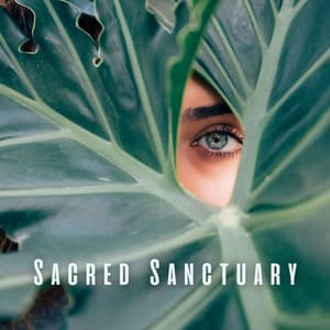 Sacred Sanctuary: Meditative Tones for Spa Indulgence - Meditation Music Universe