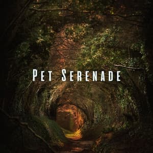 Pet Serenade: Stress-Free Vibes with Binaural and Nature Sounds - Music of the Forest