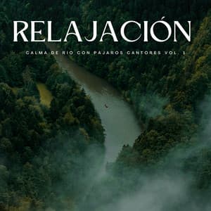 Relajación: Corriente Calma De Río Con Pájaros Cantores Vol. 1 - Ambiente de agua