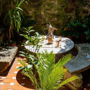 温室のハーモニー - Summer Jazz Relax