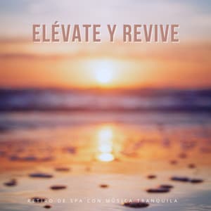 Elévate Y Revive: Retiro De Spa Con Música Tranquila - Delmar Herrero