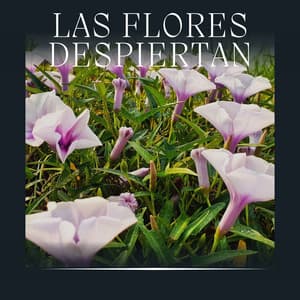 Las Flores Despiertan - Ruidos de la Selva