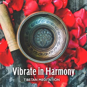 Vibrate in Harmony: Tibetan Meditation Music with Bowl Sound Every 3 Minutes to Align Yourself With The Universe, Deep Mindfullness Meditation - Spiritual Music Collection