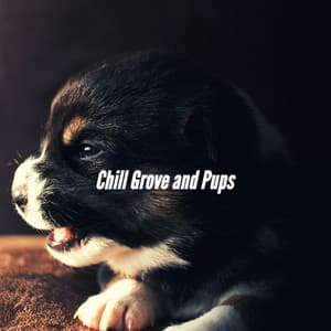 Chill Grove and Pups - Sleepy Dogs
