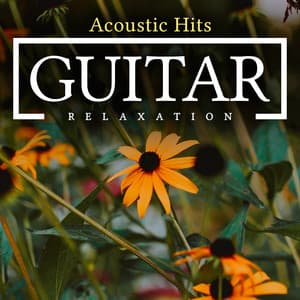 Guitar Relaxation - Acoustic Hits