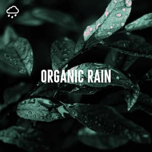 Organic Rain - Relaxing Rain Recordings