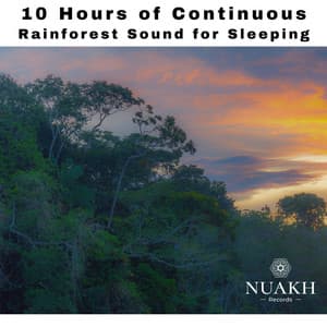 10 Hours of Continuous Rainforest Sound for Sleeping - White Noise Radiance