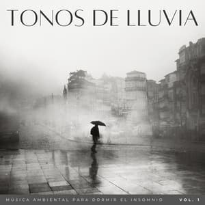 Tonos De Lluvia: Música Ambiental Para Dormir El Insomnio Vol. 1 - Lluvia tranquila para dormir