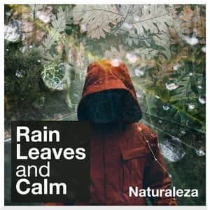 Rain Leaves and Calm - Naturaleza