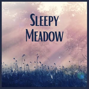 Sleepy Meadow - Sleep Ambience