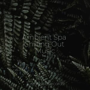 Ambient Spa Chilling Out Music - Nursery Rhymes Club