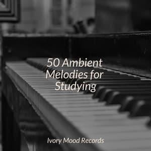 50 Ambient Melodies for Studying - Ivory Mood